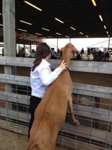 girl and her goat