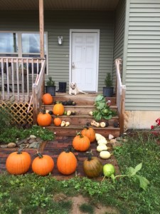 Fall at Cairn Hill Farms